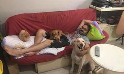 Dili olmayan canlar için umutlandık