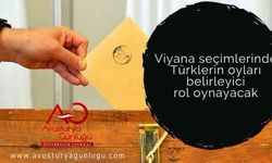 Viyana seçimlerinde Türklerin oyları belirleyici rol oynayacak