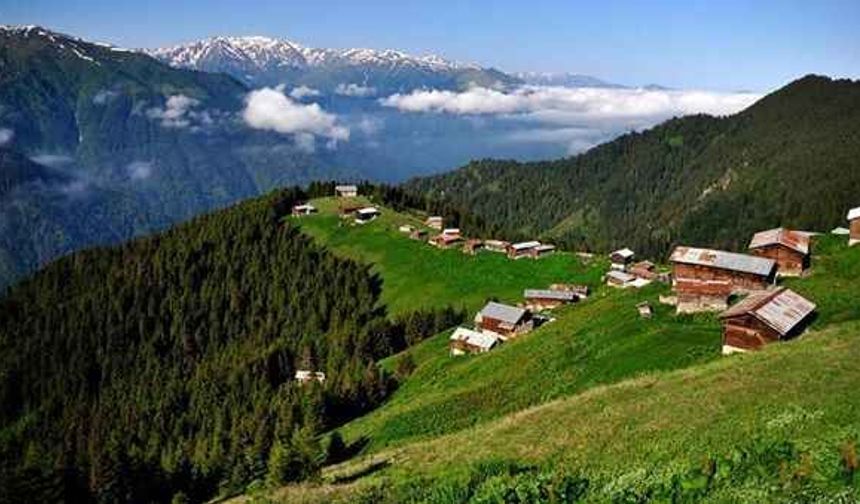 Yaşanacak yer “Giresun”